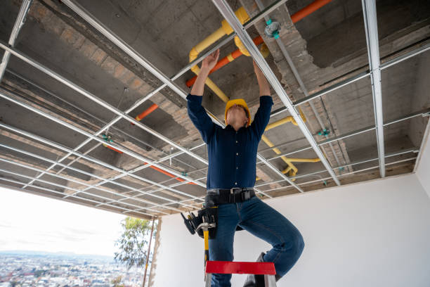 Best Affordable Plumbing Services  in Wyoming, DE