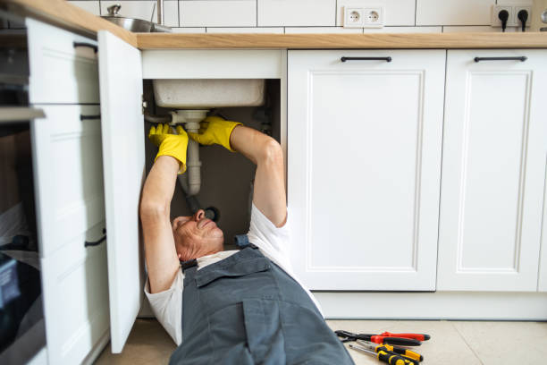 Best Clogged Drain Plumber  in Wyoming, DE