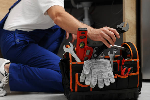 Best Clogged Drain Plumber  in Wyoming, DE