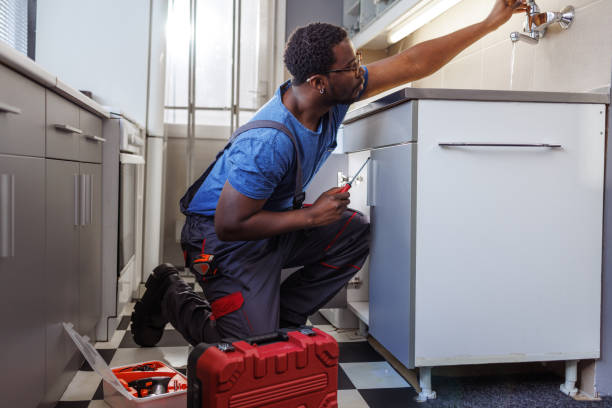 Best Plumbing Inspection Services  in Wyoming, DE